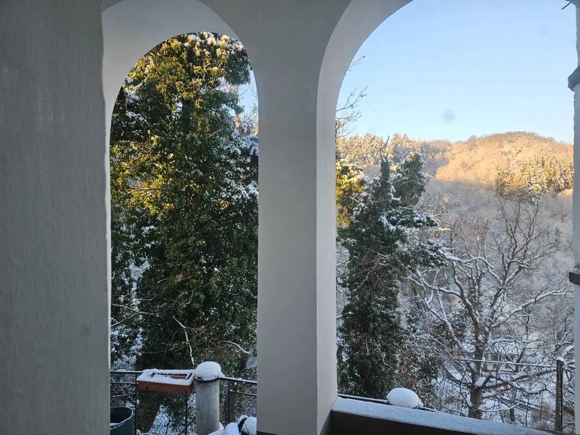 Little Rhineview Chateau Ug Boppard Eksteriør bilde